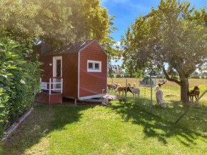 Tiny House auf der Alpaka Farm, Rubkow